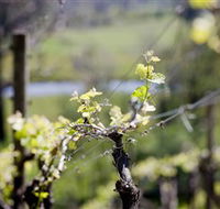 Eldridge Estate of Red Hill - Holiday Cairns