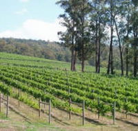 Piedmont Vineyard - Holiday Cairns