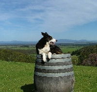 Windy Ridge Vineyard and Winery - Holiday Cairns