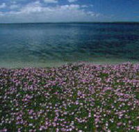 The Lakes National Park - Holiday Cairns