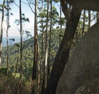Gulaga National Park - Holiday Cairns