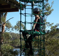 Trees Adventure Shoalhaven - Holiday Cairns