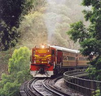 Cockatoo Run - Scenic Tour Train operated by 3801 Limited - Holiday Cairns