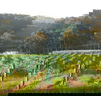 Tilba Valley Wines - Holiday Cairns