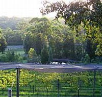 Lyrebird Ridge Organic Winery - Holiday Cairns