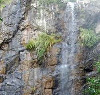 Wedding Bells Forest Drive - Holiday Cairns