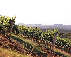 Briar Ridge Vineyard - Holiday Cairns 1