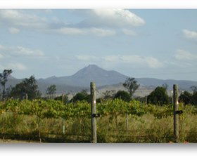 Ironbark Ridge Vineyard - Holiday Cairns 0