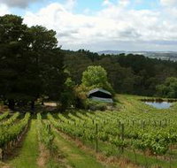 Arranmore Wines