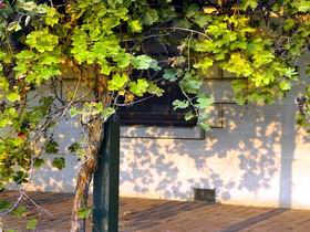 South East And Limestone Coast SA Holiday Cairns