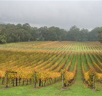Boat O'Craigo Wines - Holiday Cairns