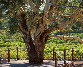 Upper Reach Winery And Cellar Door - Holiday Cairns 1