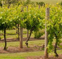 Mt Coghill Vineyard - Holiday Cairns