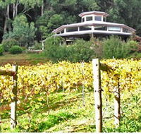 Peveril Vineyard/Beechy Berries - Holiday Cairns