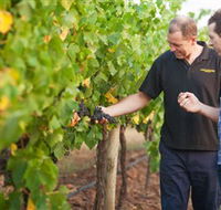 Fratin Brothers Vineyard - Holiday Cairns