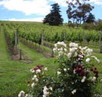 Pembroke Estate Vineyard - Holiday Cairns
