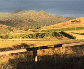 Optimiste Wines - Holiday Cairns 0