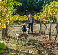 Little River Wines of Taggerty - Holiday Cairns