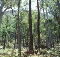 Cathedral Range State Park - Holiday Cairns