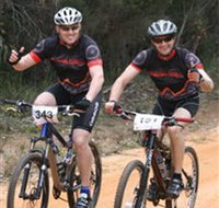 Trailhead Bike Co. - Holiday Cairns