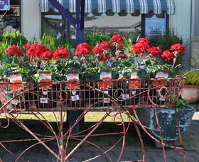 Van Loon's Nursery - Holiday Cairns 0