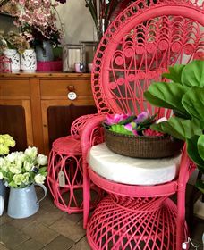 Van Loon's Nursery - Holiday Cairns 3