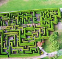 Hedgend Maze and Healesville Laser Sport - Holiday Cairns