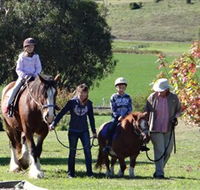 Bathurst Farm Experience - Holiday Cairns