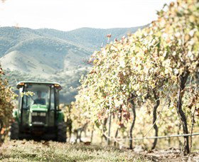 Logan Wines - Holiday Cairns 5