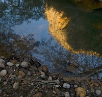 Abercrombie Karst Conservation Reserve - Holiday Cairns