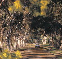 Albert Facey Heritage Trail - Holiday Cairns