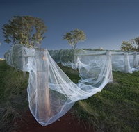 Toppers Mountain Wines - Holiday Cairns