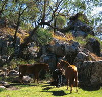 Coomba Falls - Holiday Cairns