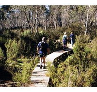 Hume and Hovell Walking Track - Henry Angel Trackhead - Holiday Cairns