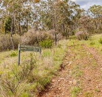 Old Mountain Road Walking Track - Holiday Cairns