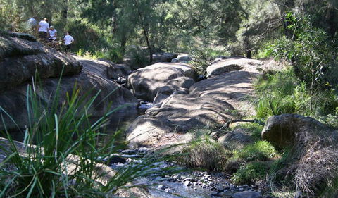 Towarri National Park - Holiday Cairns 0
