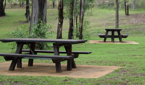 Towarri National Park - Holiday Cairns 2