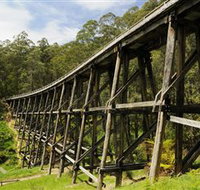 Noojee Trestle Bridge - Holiday Cairns