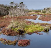 French Island National Park - Holiday Cairns