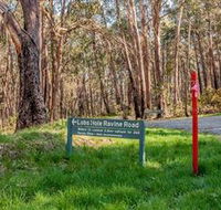 Lobs Hole Ravine 4WD Trail - Holiday Cairns