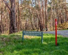Lobs Hole Ravine 4WD Trail - Holiday Cairns 0
