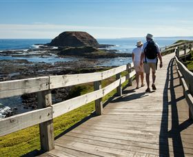 Phillip Island Nature Parks - Holiday Cairns 3