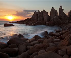 Phillip Island Nature Parks - Holiday Cairns 6
