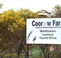 Coorow Farm Wildflower Trail - Holiday Cairns