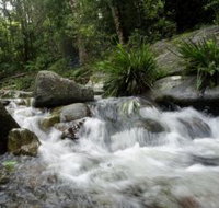 Washpool National Park - Holiday Cairns
