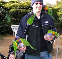 Canberra Walk In Aviary - Holiday Cairns