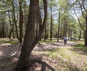 The National Arboretum Canberra - Holiday Cairns 3