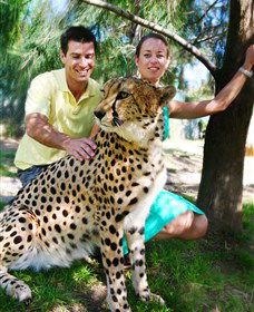 National Zoo & Aquarium - Holiday Cairns 0