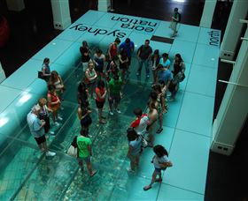 I'm Free Tours - Holiday Cairns 1