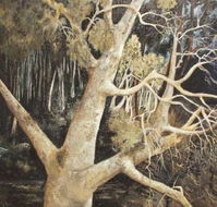 Ku-Ring-Gai Art Centre  Gallery - Holiday Cairns